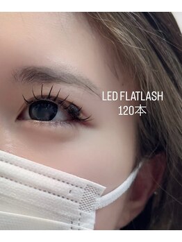 ララハッピー(lala Happy)/LED flat lash 120本　　