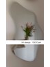 ［定額］Art design.