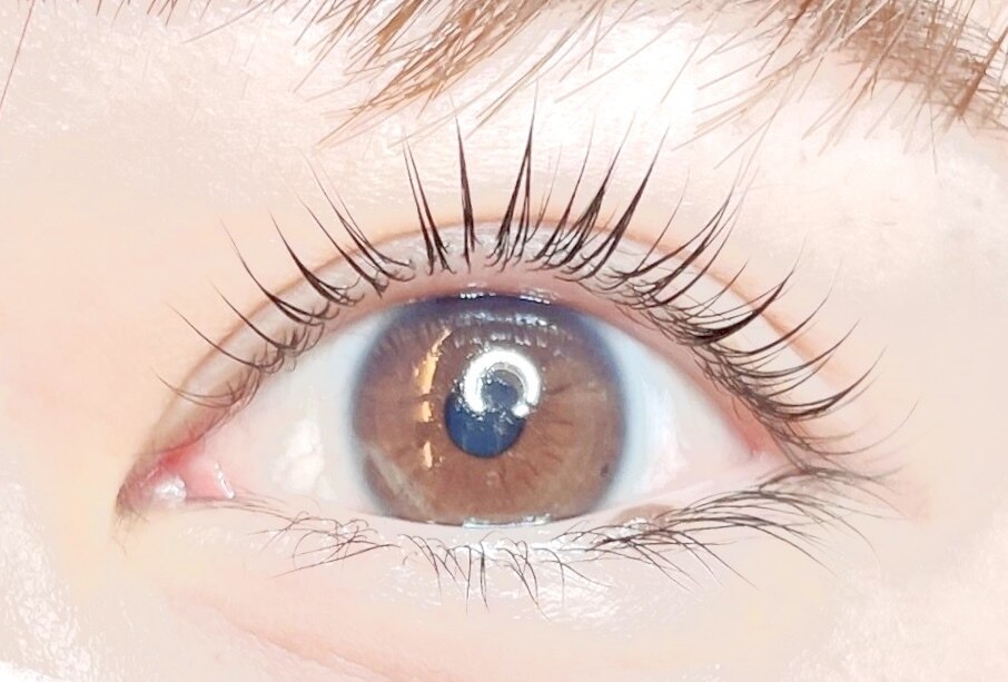 まつ毛パーマ【ラッシュリフト】当店での施術から6週間以内の方のみ♪