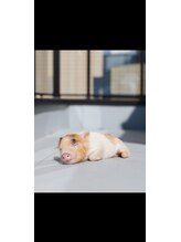 ホグラボ 横須賀中央本店(HOGULABO)&nbsp;長田 オサダ