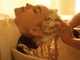 シャルティエ ヘッドスパサロン 名駅店(CHARTIER HEAD SPA SALON)の写真/【ページック】デトックスヘッドスパ 60分 ¥8480/至福のスパ体験♪完全個室空間で心も癒されたい方に♪
