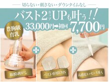 美人バスト 辻堂店