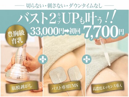 美人バスト 辻堂店の写真