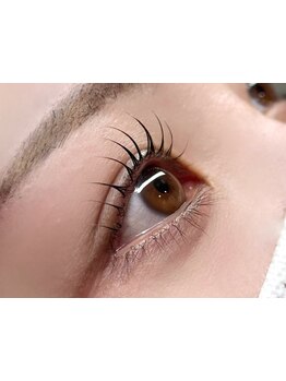 初めての方にオススメ