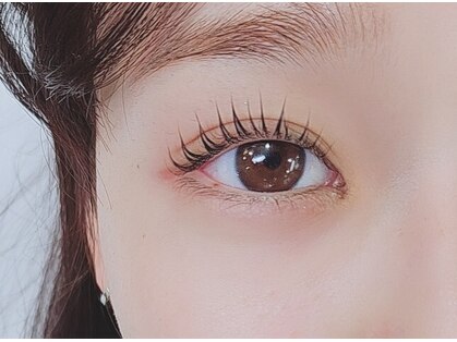 グラジュス(grazus)の写真