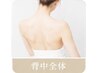 【脱毛×毛穴ケア】背中コース 45分¥8,000→¥5,000