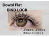 【LED】《ダブルフラットバインドロック》80束