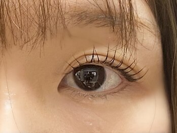 マギバイバディ 宇都宮店(magi by BUDDY)/ラッシュリフト