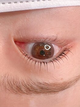 テラスヘア 仙台 青葉区 広瀬通(TERRACE)/まつ毛パーマパリジェンヌ