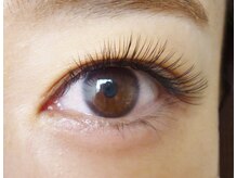 テイラー(Taylor)/フラットラッシュ140本　SONE