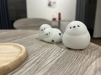 ツール(TOOL)/店内写真