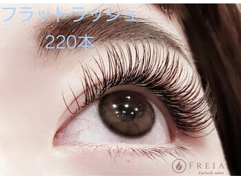 フレイア(FREIA)/フラットラッシュ220本