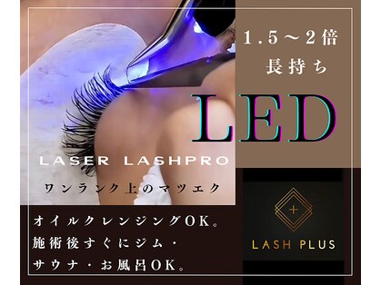 レセ(L’ce)の写真