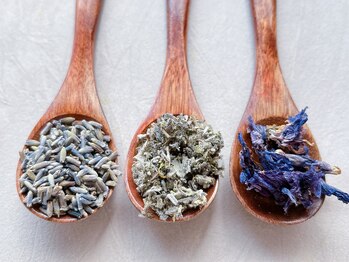 プレマ(prema)/ハーブブレンド