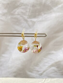 レディーバード (LadyBird)/