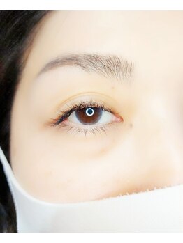 ルピナス(Lupinus)/LEDフラットラッシュ140本