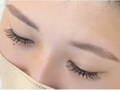 ルル(lulu)の写真