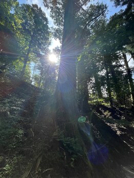 チェッコリ(CHECCOLY)/