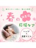 【3月限定!!】春の新生活応援ケア☆ ドライヘッドスパ+首肩オイル 100分