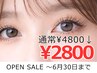 【OPEN SALE6月30日迄 ¥4800→¥2800】プラチナセーブル (120本まで）