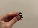 nail sample