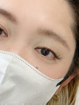 プトゥリチュール(Putritulle)/DKLナチュラル