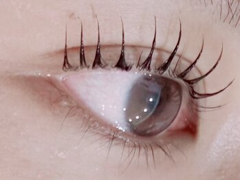 ファイブセンス(FIVE SENSES)の写真/【リピーター価格がお得】綺麗な仕上がりを長くキープ!自まつげを活かしたまつげパーマで上品な目元を演出*