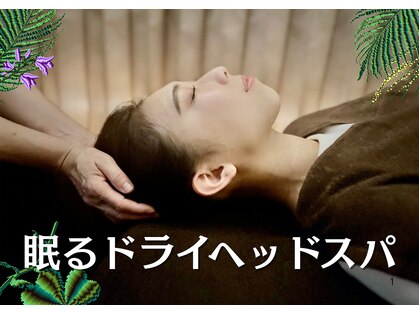 デジストラボの写真
