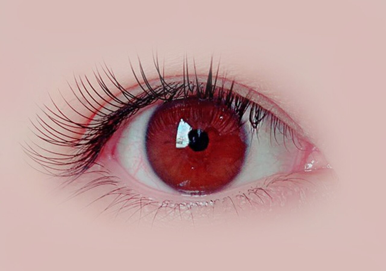 【高密着×軽量★】最新フラットラッシュ100本￥5900