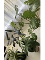 アロマヒーリング 恵比寿店&nbsp;家に植物があると癒されます♪