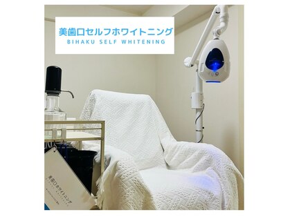 リラ(Lilas)の写真