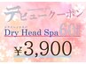 【本部研修済】デビュークーポン♪ドライヘッドスパ60分コース¥7,200→¥3.900