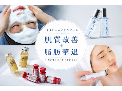 レベンディス(LEVENDIS)の写真