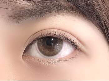 リビング(LIVING)/【まつげカール】