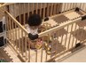 【お子様連れの方◎】産後骨盤矯正+全身ストレッチ/姿勢分析付
