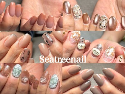 シーツリーネイル(seatree nail)の写真