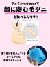 【再来】フェイシャルWax脱毛1回＆眉毛Wax（型取り なし）【亀戸/脱毛/眉毛】