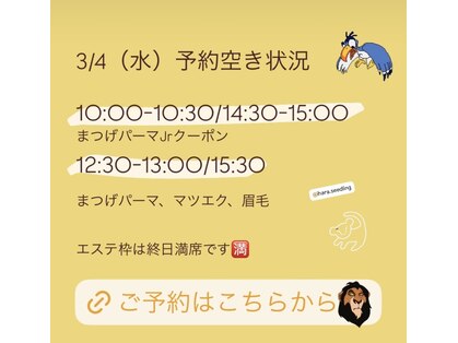 シードリン(Seedling)の写真