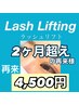 【2ヶ月超え】再来【ラッシュリフト】4,500円