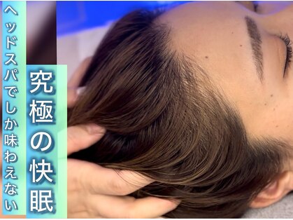 イルカの羽の写真