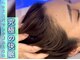 イルカの羽の写真