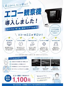 長者町ビオス整骨院/エコー観察機