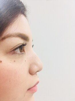 ルピナス(Lupinus)/アップワードラッシュ160本