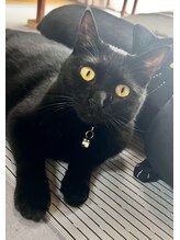 和サロン いろは 黒猫 テン