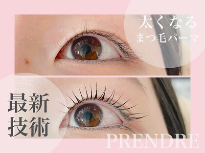 プランドール(prendre)の写真