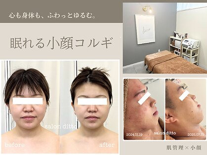 サロンディト(ditto)の写真