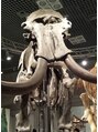 ミスターヘッド(Mr.HEAD)&nbsp;マンモスです！巨大動物に興味があり、必ず恐竜展行っちゃいます