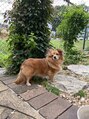 マキア 新札幌店(MAQUIA) 愛犬もうおばあちゃんです