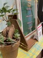 モナブ(MONABU)&nbsp;観葉植物はお店には欠かせない癒しです♪
