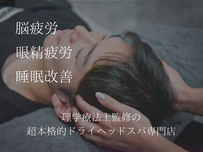 エミュ(Emyu)の写真